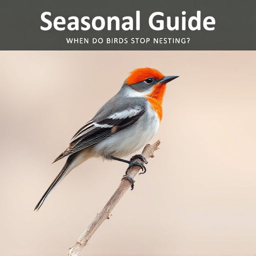 Seasonal Guide: When Do Birds Stop Nesting?