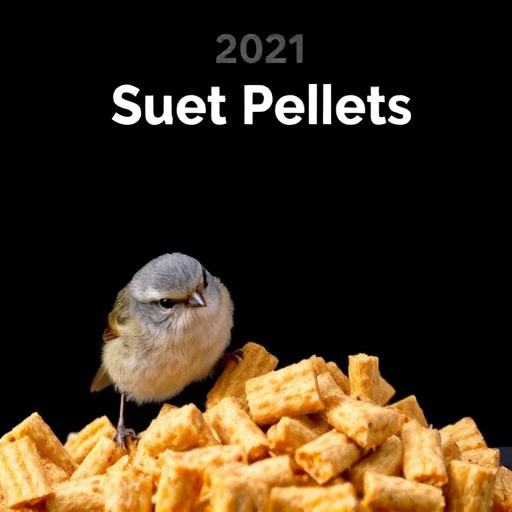 Suet pellets in mesh feeder with birds