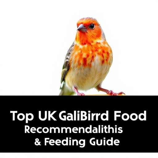 Top UK Garden Bird Food Recommendations & Feeding Guide