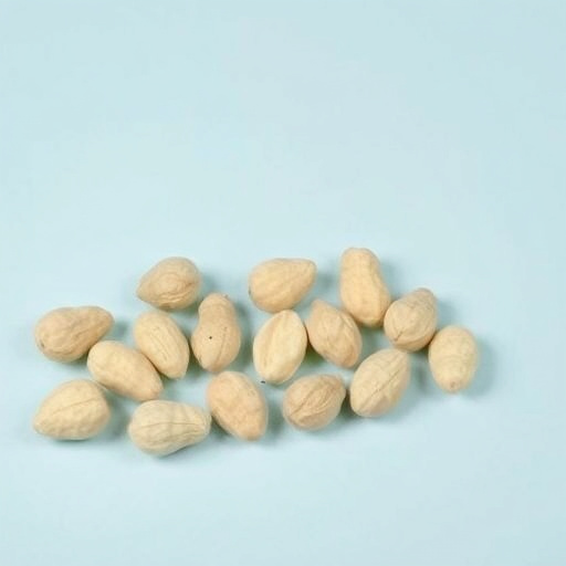 Transparent pouch of peanuts for birds